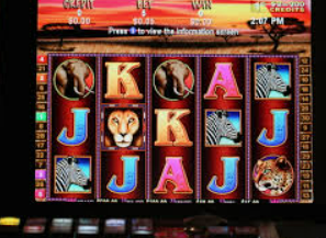 196体育经典版2024最新版