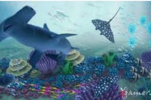 196体育经典版2024最新版